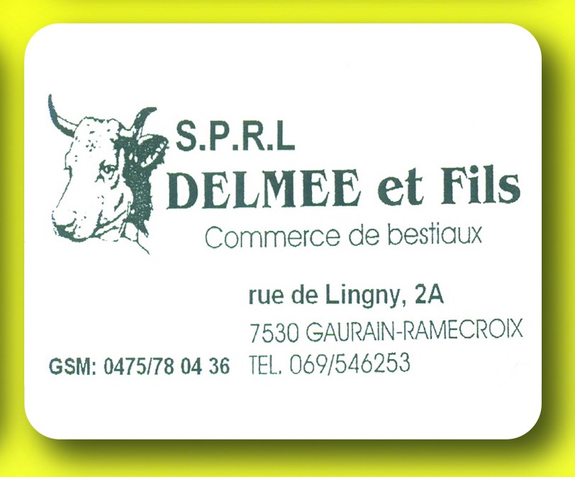 Delmee et fils